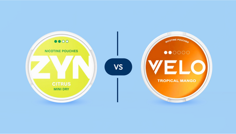 ZYN vs VELO: Which Nicotine Pouch Is Right for You?