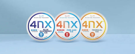4NX Nicotine Pouches Product Review