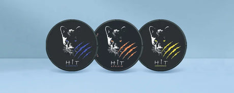 HIT Nicotine Pouches Product Review