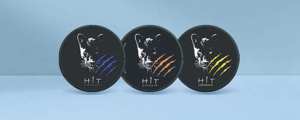 HIT Nicotine Pouches Product Review