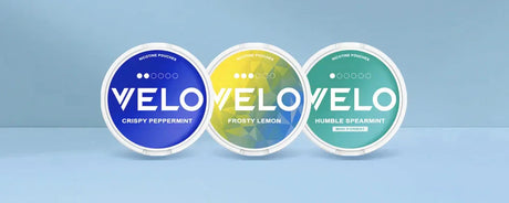 VELO Nicotine Pouches Product Review