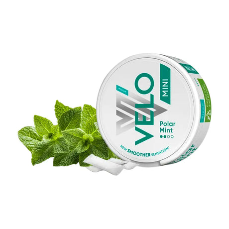 Velo Polar Mint Mini Medium 2/4 6 mg
