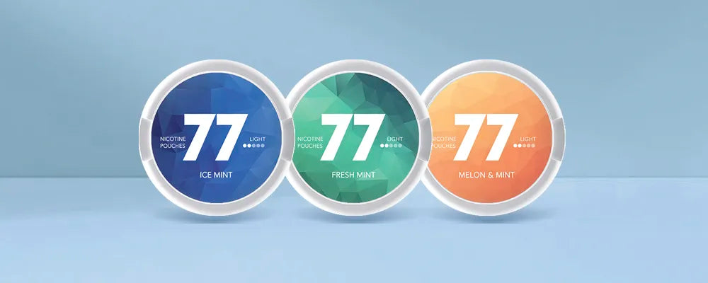 77 Nicotine Pouches Product Review