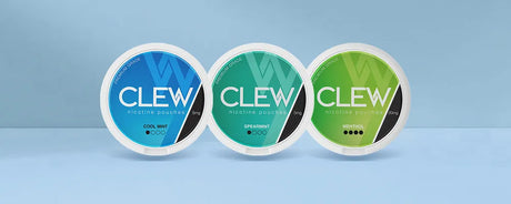 Clew Nicotine Pouches Product Review