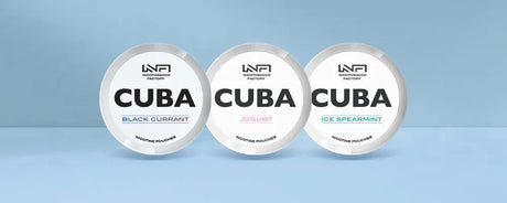 CUBA Nicotine Pouches Product Review