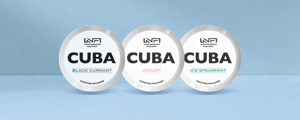 CUBA Nicotine Pouches Product Review