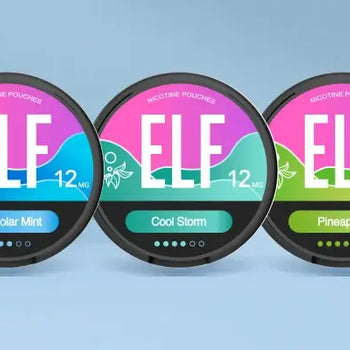 ELF Bar Nicotine Pouches Product Review