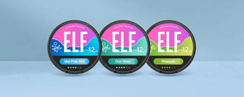ELF Bar Nicotine Pouches Product Review