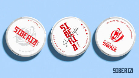 What is Siberia snus? Our complete buying guide to Siberia Nicotine Pouches