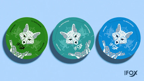 What are White Fox nicotine pouches? Our complete buying guide to White Fox snus