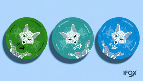 What are White Fox nicotine pouches? Our complete buying guide to White Fox snus