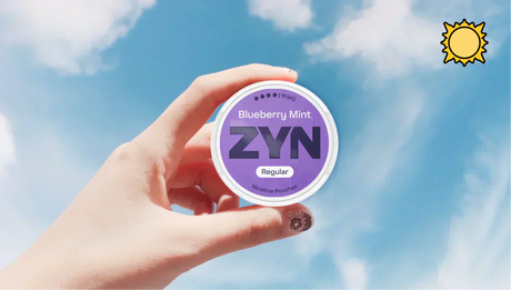 The 10 Best Nicotine Pouch Flavours for Summer 2026