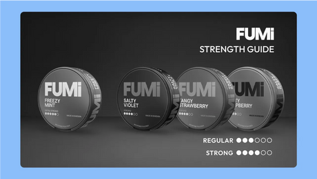 FUMi Nicotine Pouch Guide: How to Choose Your Strength, Format and Flavour