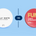 Kelly White vs FUMi: Which Swedish Nicotine Pouch Brand Should You Choose?