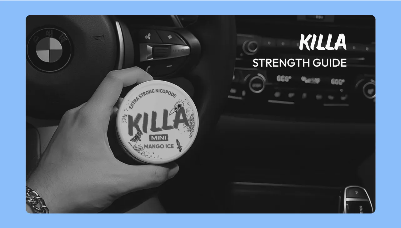 KILLA Nicotine Pouch Guide: Strength, Format and Flavour