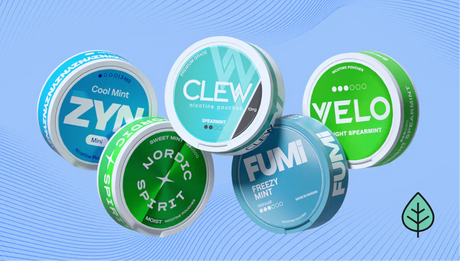 Top 10 Bestselling Mint Nicotine Pouches