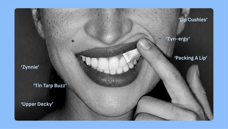What is an Upper Decky Lip Pillow? (ZYN Slang Explained)
