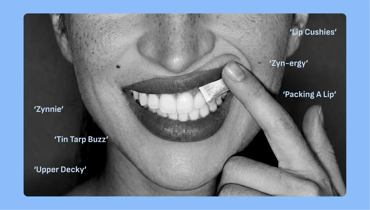 What is an Upper Decky Lip Pillow? (ZYN Slang Explained)