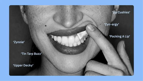 What is an Upper Decky Lip Pillow? (ZYN Slang Explained)