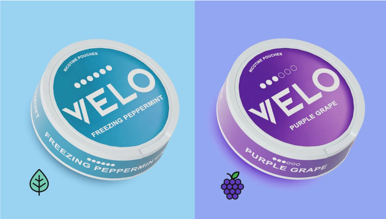 VELO Nicotine Pouch Flavours: Your Ultimate Guide