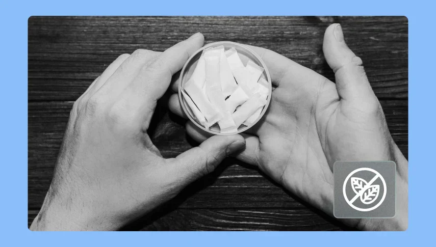 Nicotine Pouch Guide