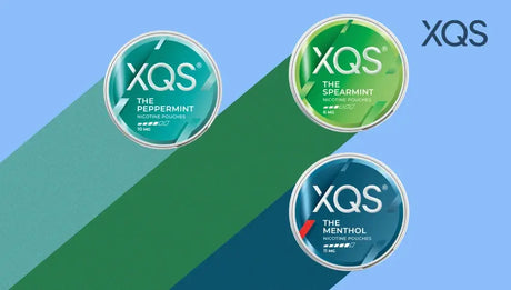 XQS Launches Three New Mint Nicotine Pouches