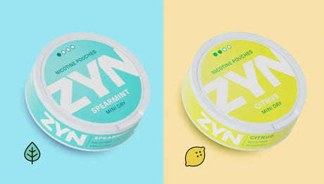ZYN Nicotine Pouch Flavours: Your Ultimate Guide