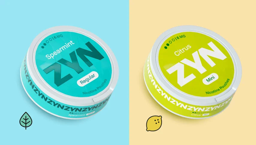 ZYN Nicotine Pouch Flavours 2025: Your Ultimate Guide