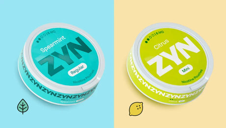 ZYN Nicotine Pouch Flavours 2025: Your Ultimate Guide