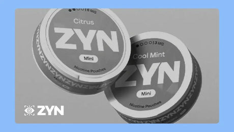 ZYN 2025: New Look, Flavours & Strengths Explained