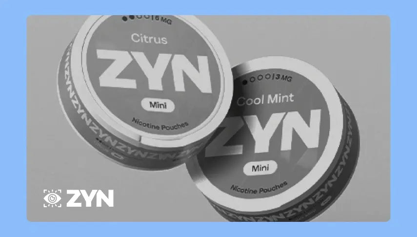 ZYN 2025: New Look, Flavours & Strengths Explained