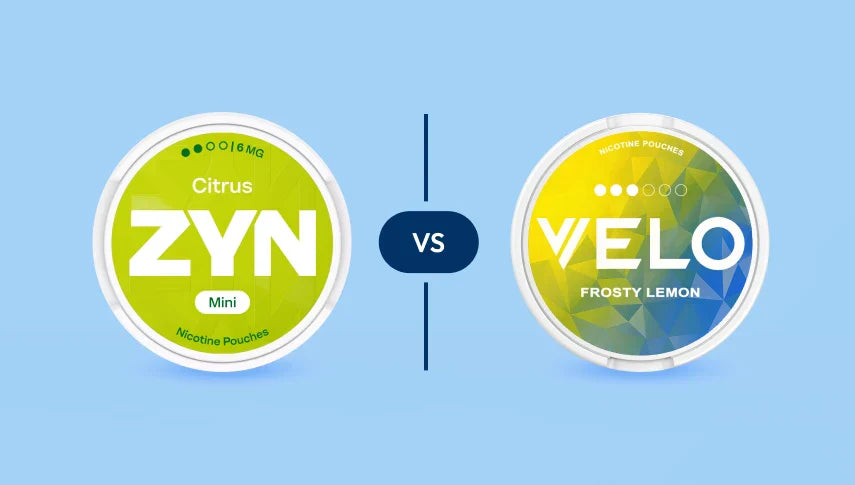 ZYN vs VELO: Which Nicotine Pouch Is Right for You?
