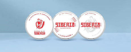 Siberia Nicotine Pouches Product Review