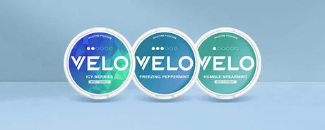 VELO Nicotine Pouches Product Review