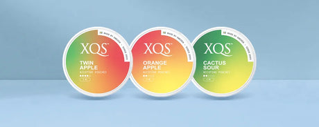XQS Nicotine Pouches Product Review
