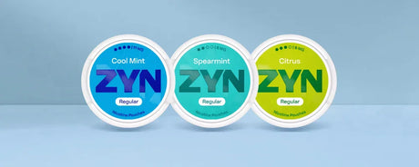 ZYN Nicotine Pouches Product Review 2025