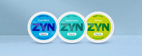 ZYN Nicotine Pouches Product Review 2025