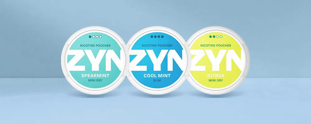 ZYN Nicotine Pouches Product Review