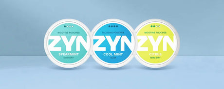 ZYN Nicotine Pouches Product Review