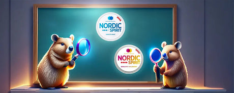 nordic spirit nicotine pouches