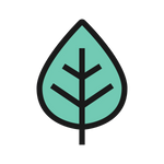 Mint Flavour Nicotine Pouches