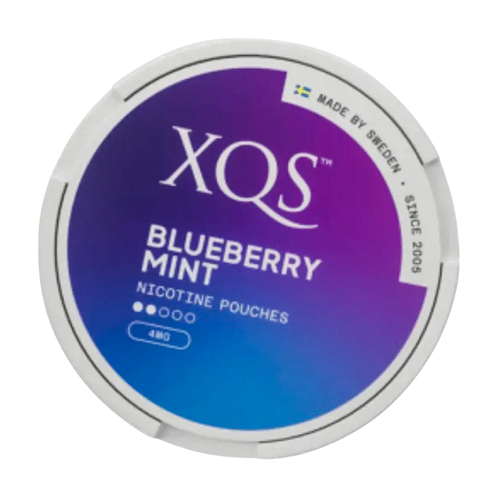 XQS Blueberry Mint Slim 2/5 4mg 4mg