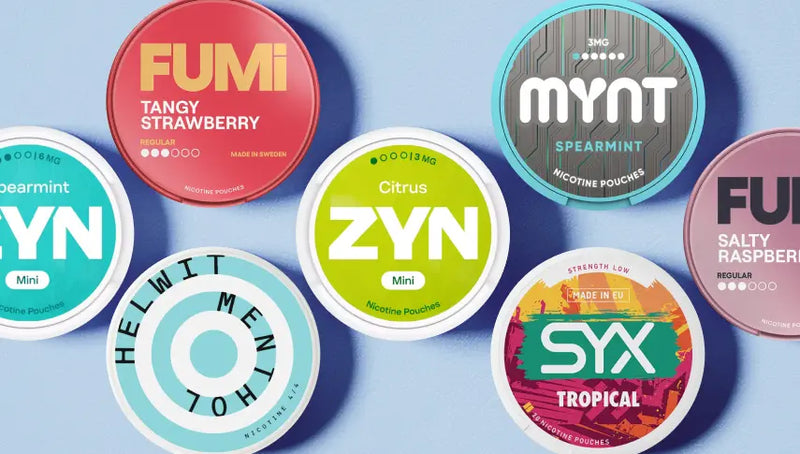 best tobacco-free nicotine pouches The Rise of Pouches: A Smoke-Free Alternative Gaining Popularity Nicotine Pouch Brands | All